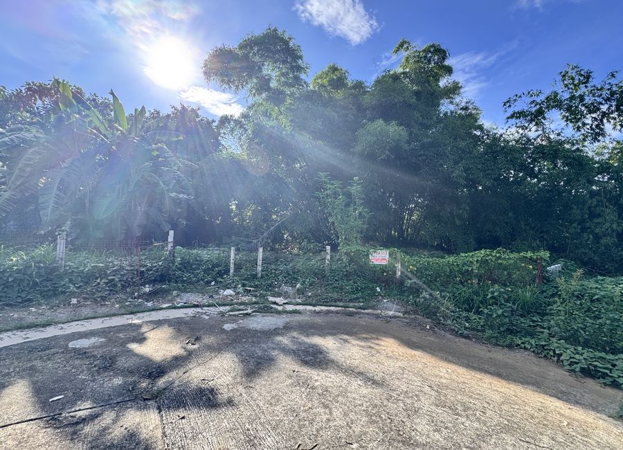 Cottonwood Drive, Cottonwood Heights, Antipolo, Rizal
