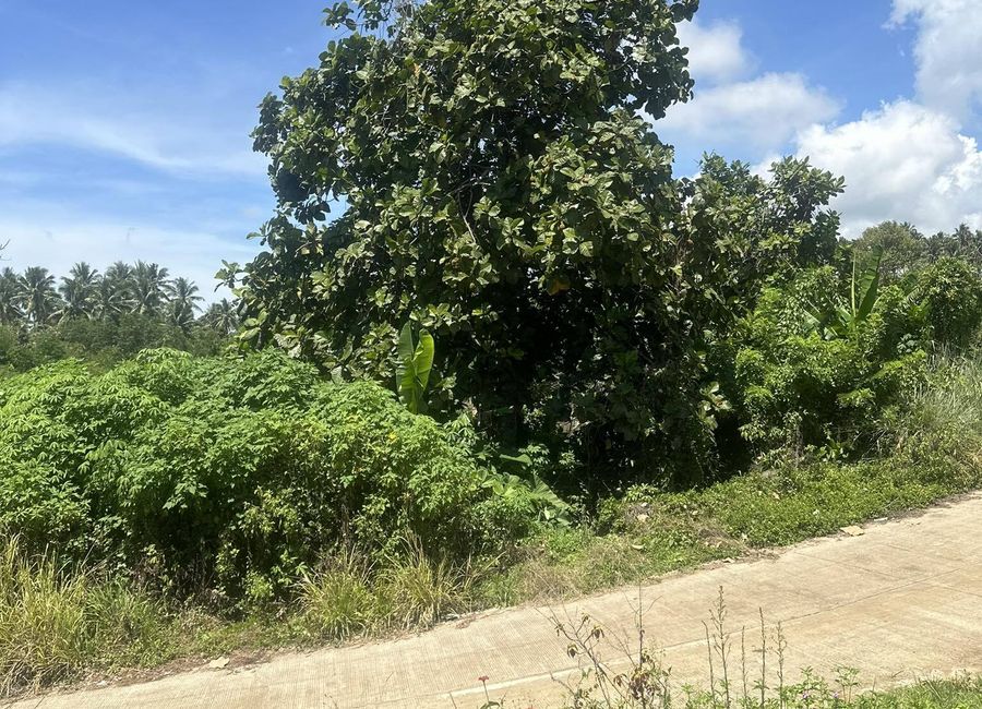 1 Hectare overlooking property in Eden-Bayabas Toril | Lamudi.com.ph