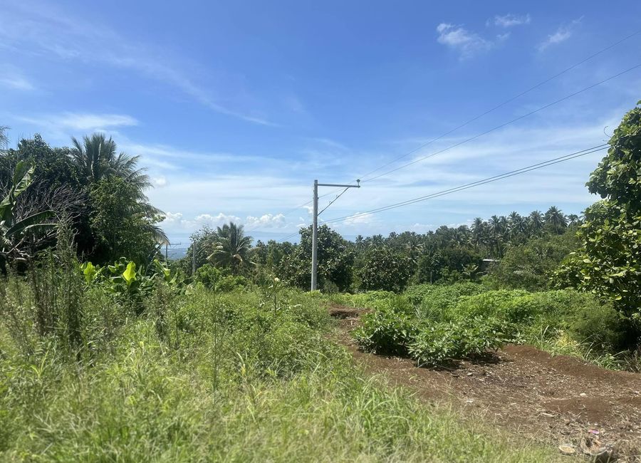 1 Hectare overlooking property in Eden-Bayabas Toril | Lamudi.com.ph