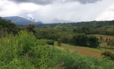 For Sale 0.83 Hectare Lot in Barangay Pongol, Libona, Bukidnon