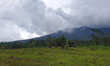 For Sale Mini-Farmlot @ San Isidro, Lunotan, Gingoog City, MIs Or.