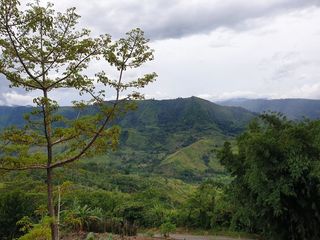 For Sale Ideal Permaculture Overlooking Farmland, San Luis, Malitbog, Bukidnon