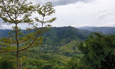 For Sale Ideal Permaculture Overlooking Farmland, San Luis, Malitbog, Bukidnon