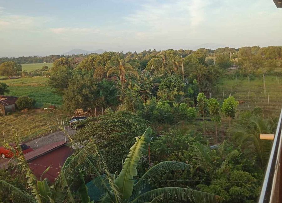 Farm Resort for sale in Lumban Laguna | Lamudi.com.ph