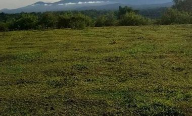 For Sale 50/sqm of 3.37 Hectares Farmland in Talakag, Bukidnon