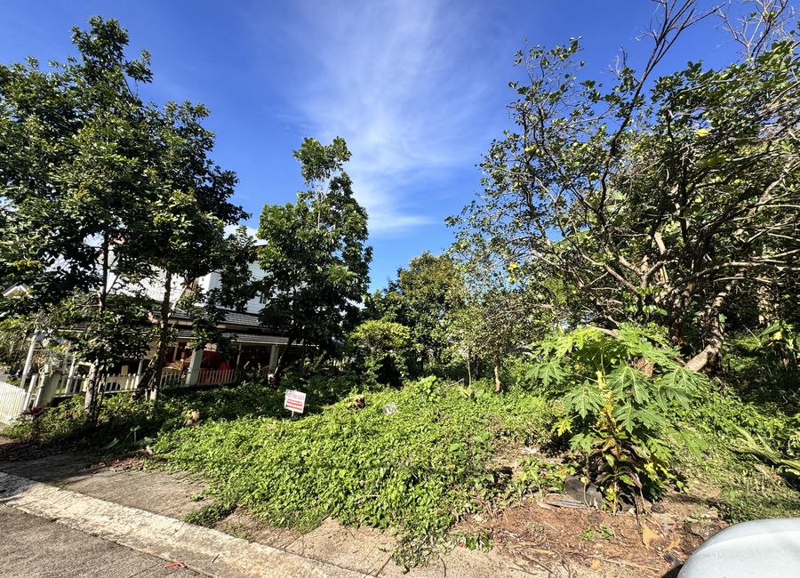 Cottonwood Drive, Cottonwood Heights, Antipolo, Rizal