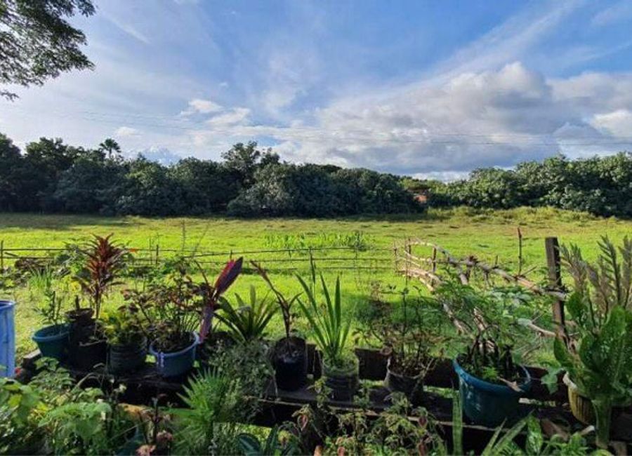 May-Iba, Teresa, Rizal