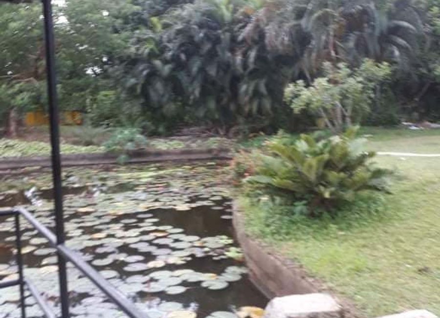 Daniw, Victoria, Laguna
