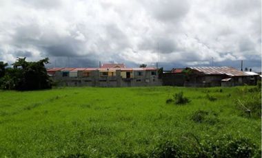 Ideal for Commercial/Residential subdivision Lot development for sale in Canaman