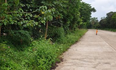 6.3HA AGRO-Industrial Land, Mantibugao, Manolo Fortich, Bukidnon