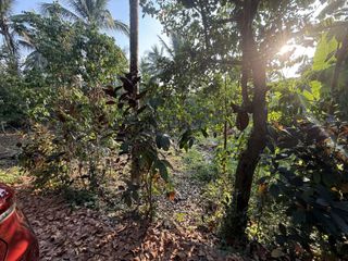 1,000 sqm Lot in Bgy. Pajo, Alfonso Cavite for SALE! TITLED for P 3,500 per sqm