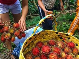 Titled 2.3 hectares Farm Lot in Kaputian District Samal /Agri-Tourism Zone 12M