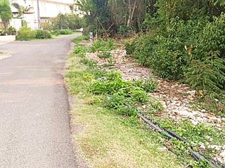 Lot for Sale - 4,802 sqm Near Bohol Bee Farm - Dao, Dauis, Bohol