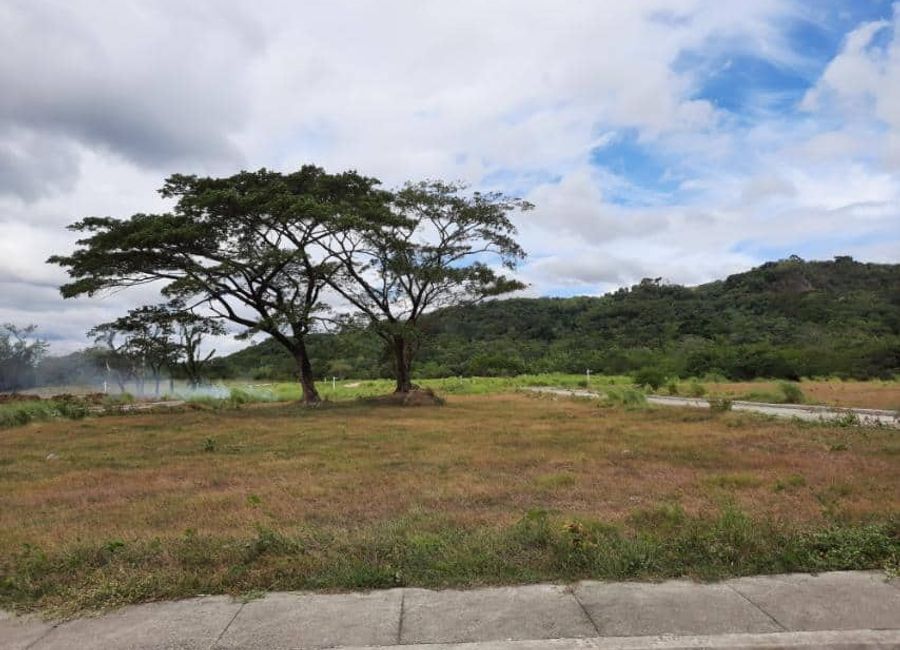 Vera, Palo Alto Executive Village, Baras, Rizal