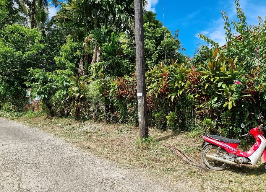 Aliliw, Lucban, Quezon image 2