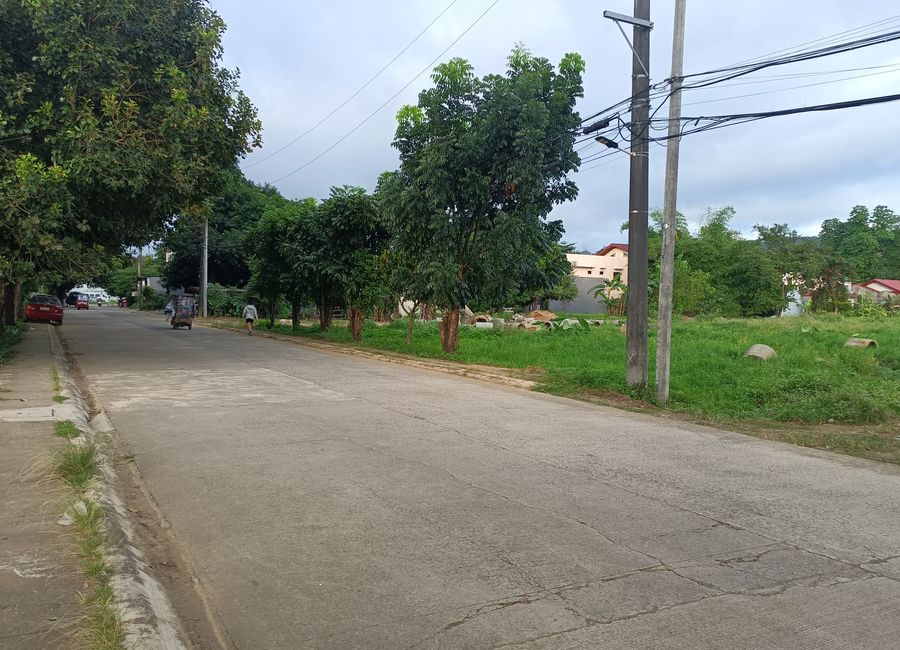 Christian Dior Street, Bloomingdale Homes, Angono, Rizal image 2