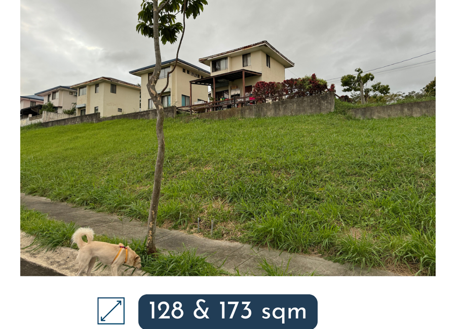 East Diversity Avenue, Canlubang, Calamba, Laguna image 2