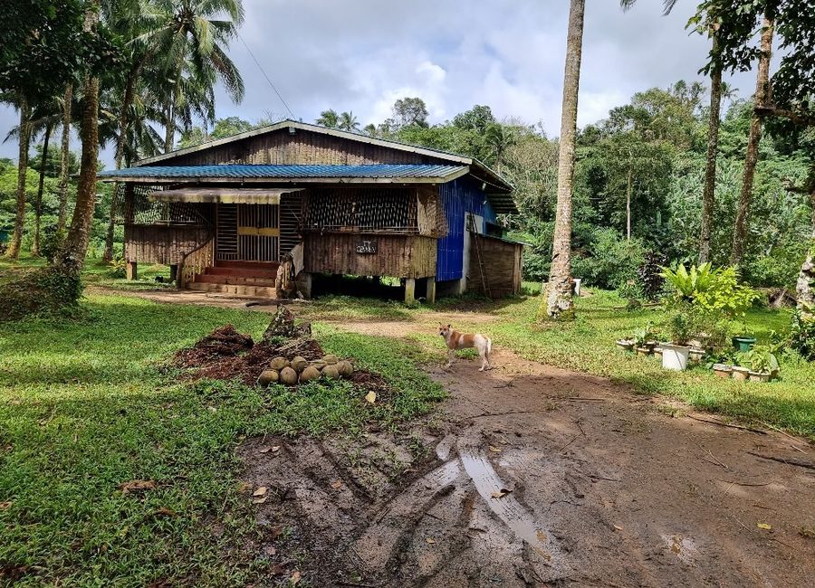 Nagsinamo, Lucban, Quezon image 2