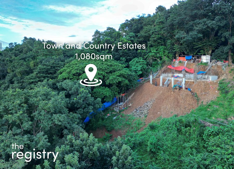 Kent Street, Town & Country Estates, Santa Cruz, Antipolo, Rizal image 2