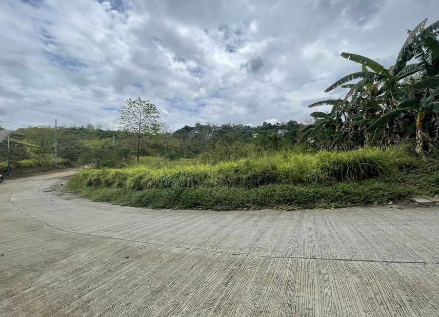 Juan Sumulong Street, San Roque, Antipolo, Rizal image 2