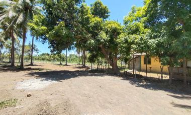 Lot For Sale Sariaya Quezon - Along Barangay Road