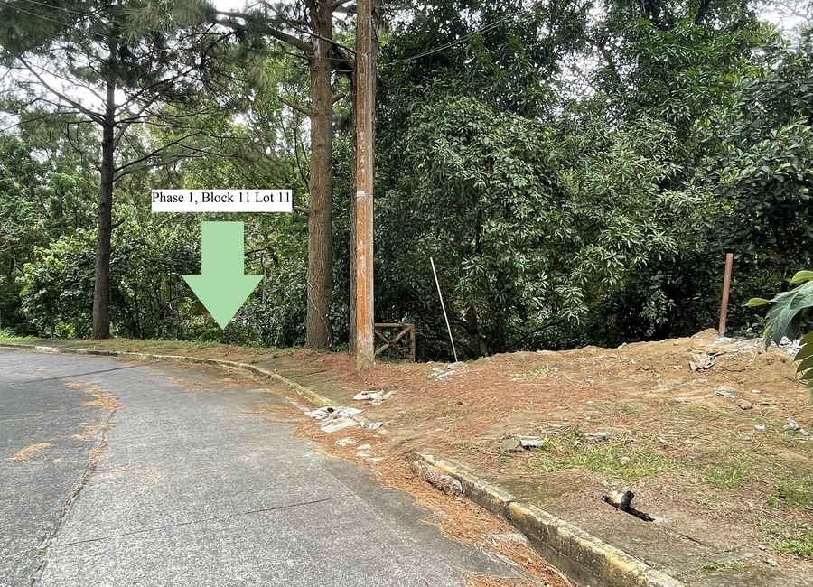 Diokno Highway, Tamayo, Calaca, Batangas