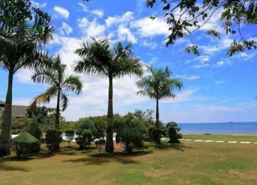 place photo 31