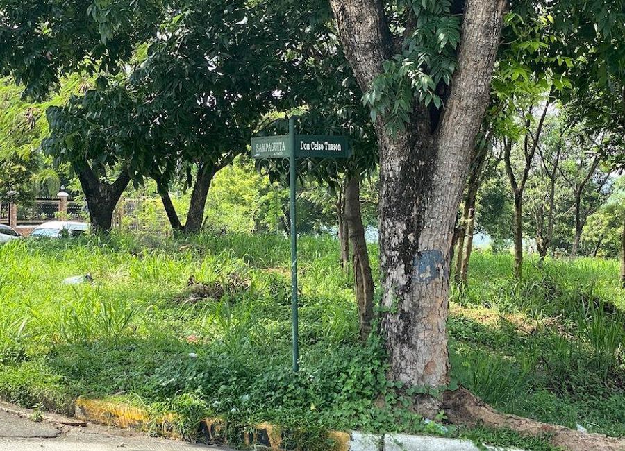 Don Celso Tuason Avenue, Town & Country Estates, Mambugan, Antipolo, Rizal image 2