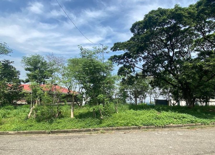 Don Celso Tuason Avenue, Town & Country Estates, Mambugan, Antipolo, Rizal image 3