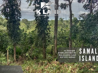 Semi-Overlooking Mango Farm in Malacoma, San Antonio, Babak, Samal Is
