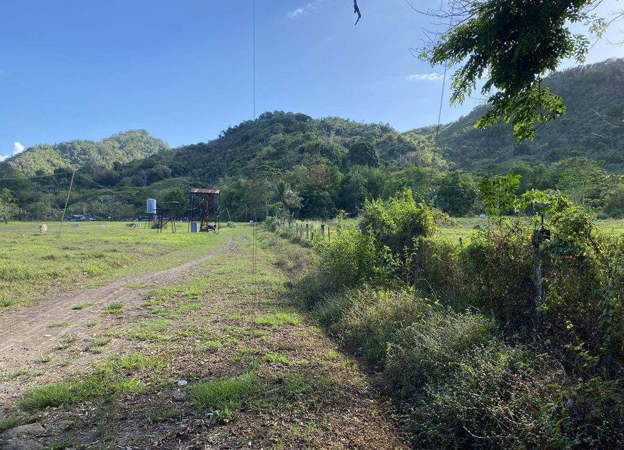 Molave Street, Putho Tuntungin, Los Baños, Laguna