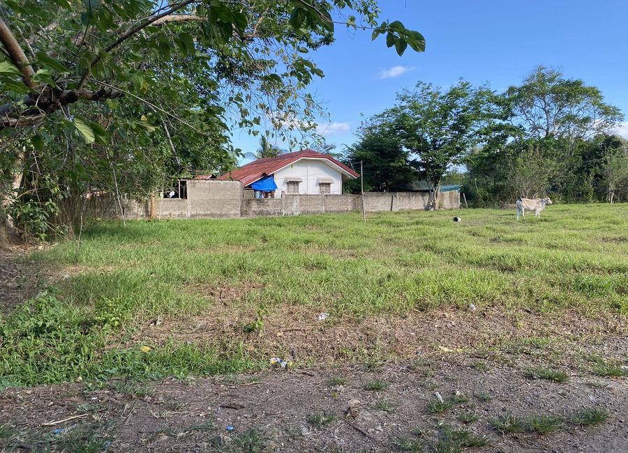Molave Street, Putho Tuntungin, Los Baños, Laguna image 2