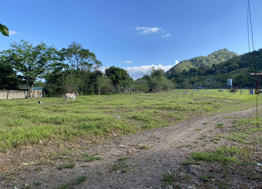 Molave Street, Putho Tuntungin, Los Baños, Laguna image 3
