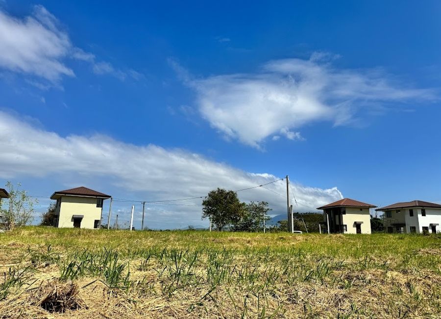 Amazon Street, Avida Woodhill Settings, Canlubang, Calamba, Laguna