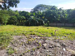 Lot for sale in Green Meadows Salitran Dasmarinas Cavite