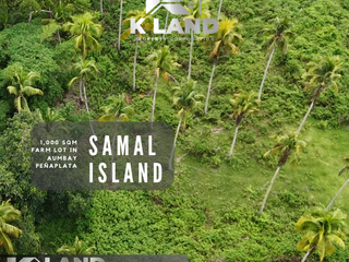 Prime 1000 sqm farm Lot for Sale in Brgy. Aumbay, Samal Island