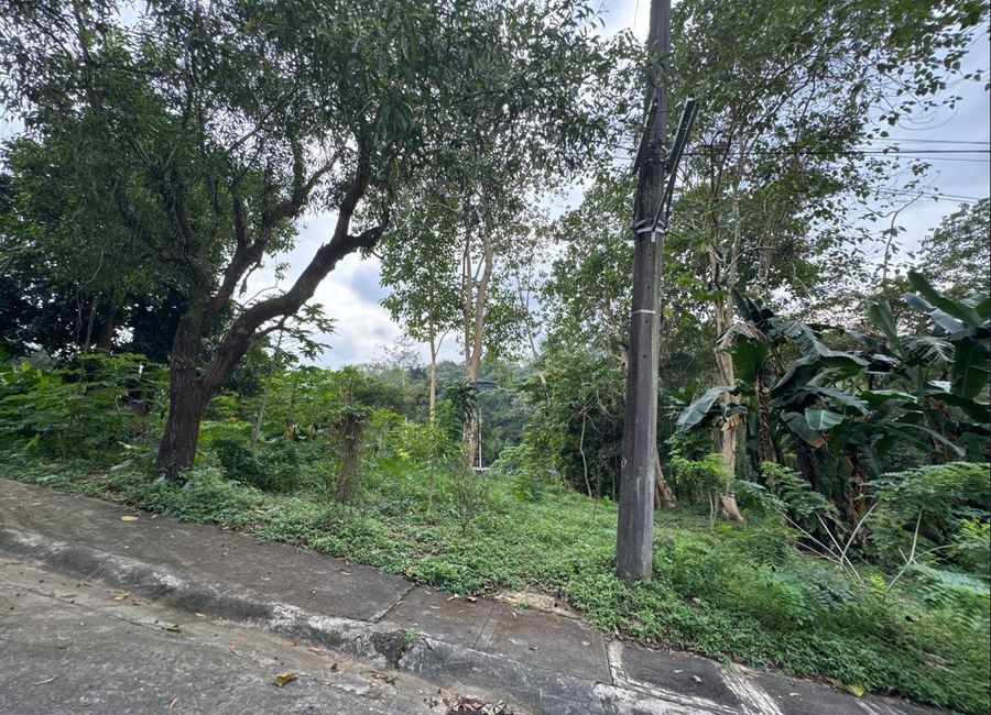 Juan Sumulong Street, San Roque, Antipolo, Rizal image 3