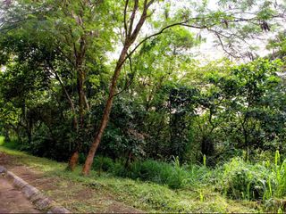 496 sq.m PARKRIDGE ESTATE ANTIPOLO LOT FOR SALE