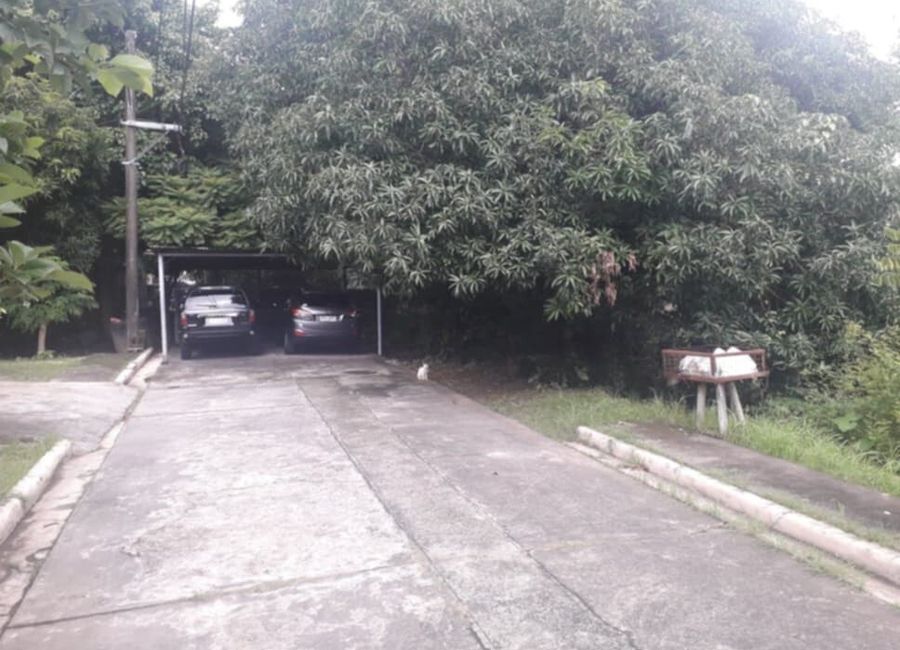 Vista Verde Avenue, San Isidro, Cainta, Rizal image 3