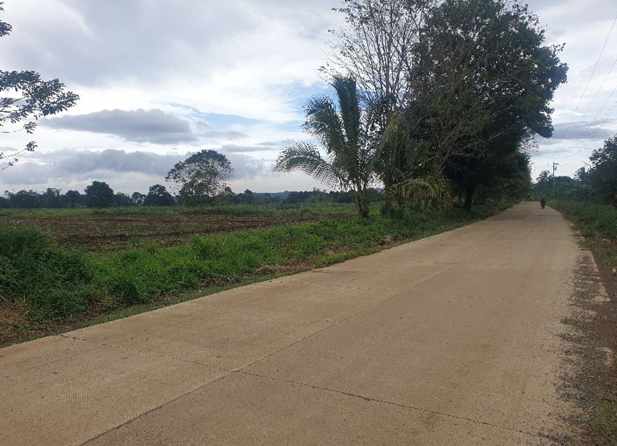 For Sale Agri-land property along Laturan National Road in Libona ...