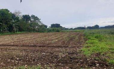 For Sale Agri-land property along Laturan National Road in Libona, Bukidnon