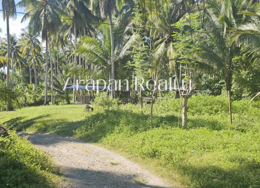 13 Hectares Land Ideal for Poultry in Sulop Davao Del Sur | Lamudi.com.ph