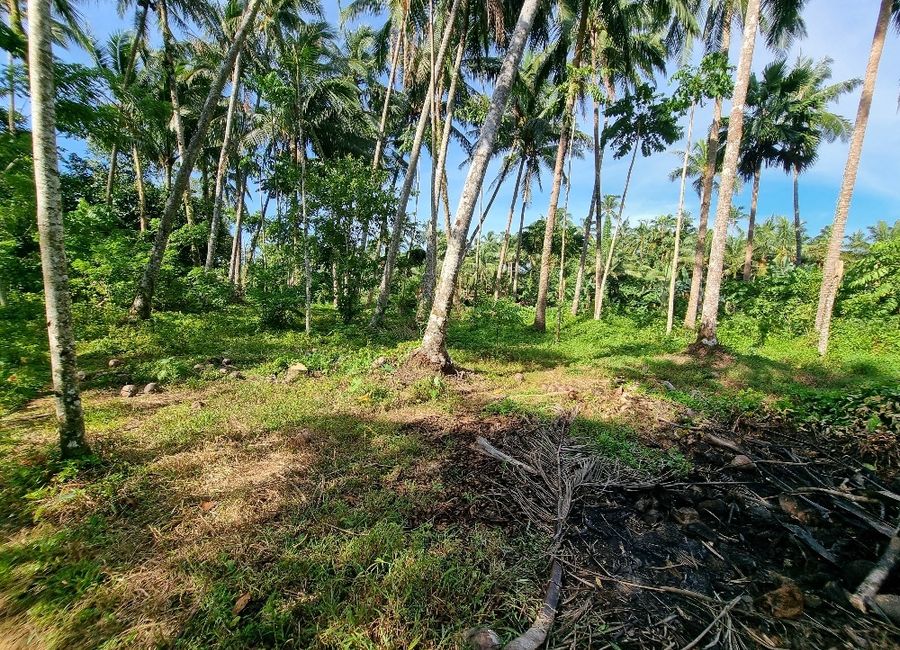 Sampaloc - Lucban Road, Piis, Lucban, Quezon