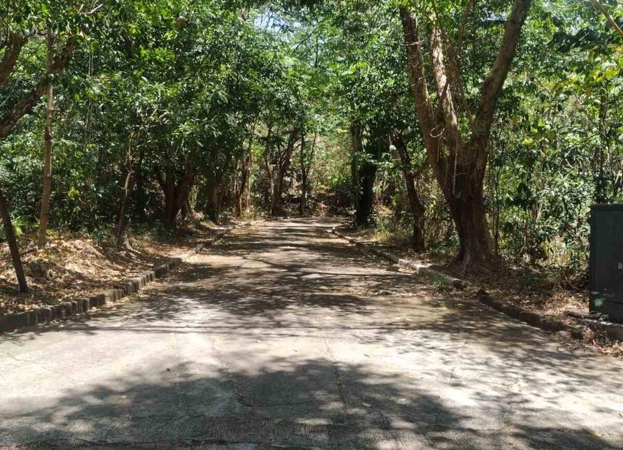 Kent Street, Town & Country Estates, Santa Cruz, Antipolo, Rizal