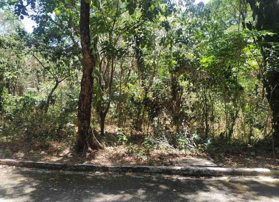 Kent Street, Town & Country Estates, Santa Cruz, Antipolo, Rizal image 2