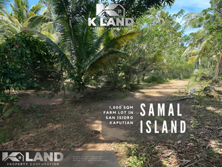 For Sale: 1,000 sqm Farm Lot in San Isidro, Kaputian, Samal Island