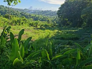 12,922 Sqm Farm Lot for Sale in Tagaytay Near Crosswinds