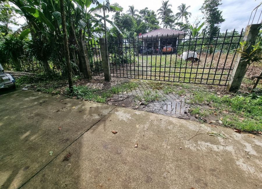 Nagsinamo, Lucban, Quezon image 2
