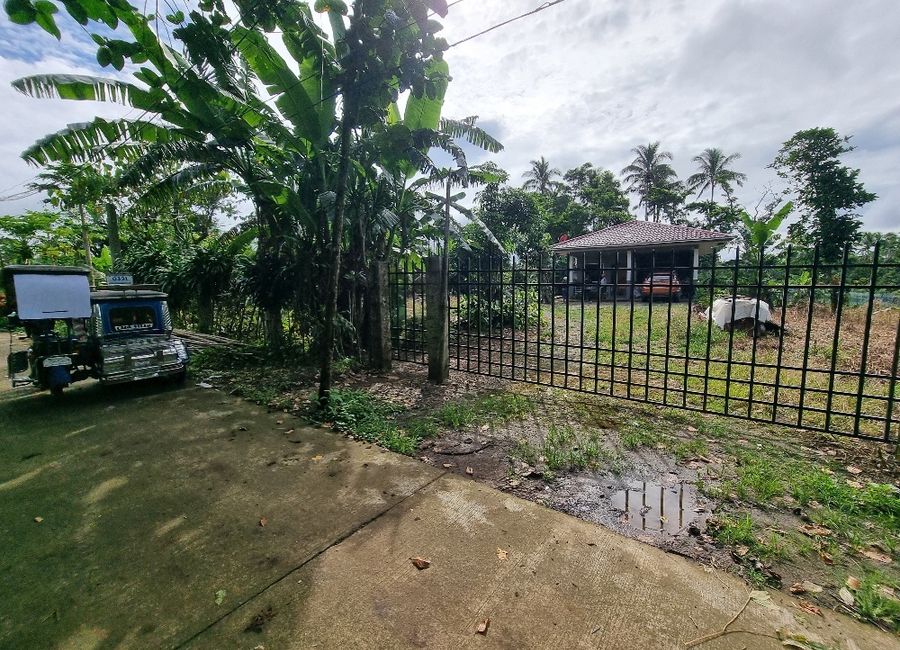 Nagsinamo, Lucban, Quezon image 3