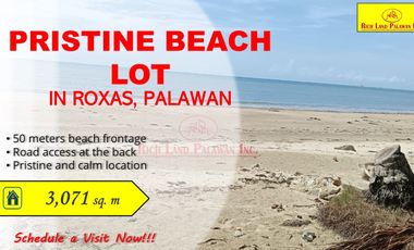 Pristine Beach Lot Property in Roxas, Palawan with 50 Meters Beach